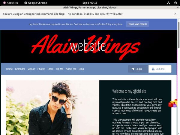 AlainWings Org
