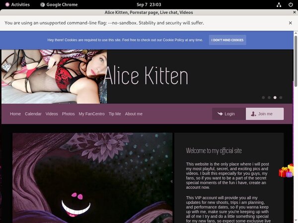 Alicekitten.modelcentro.com Get A Password