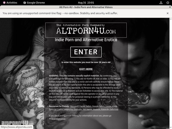 Altporn4u One Time Discount