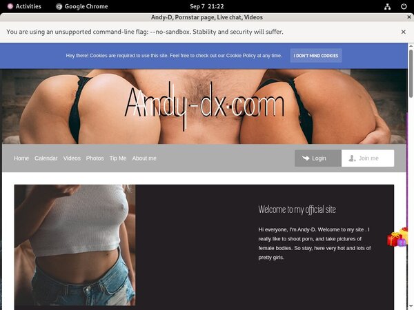 Andy-d.modelcentro.com Member Review