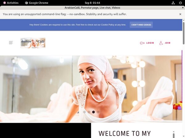 Arabiancalli.modelcentro.com Accounts And Passwords