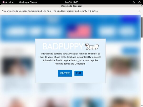 Badpuppy.com Scene Badpuppy.com Scene