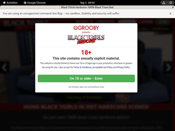 Black TGirls Hardcore Free Premium Account Black TGirls Hardcore Free Premium Account