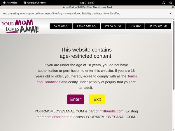 Contas Premium Yourmomlovesanal.com