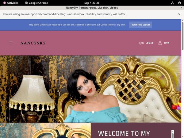 Daily NancySky Accounts