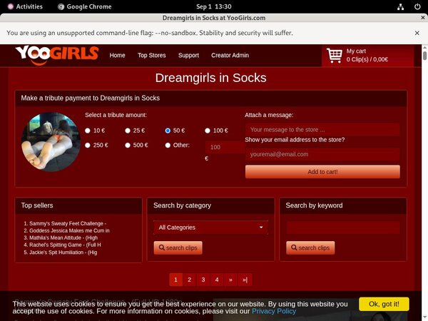 DreamgirlsInSocks Checkout DreamgirlsInSocks Checkout