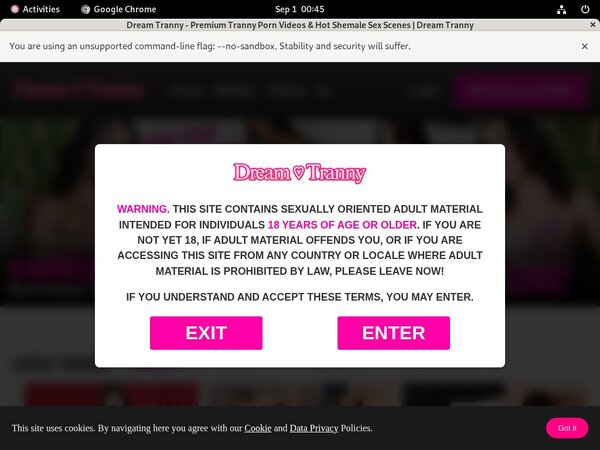 Dreamtranny Webcam