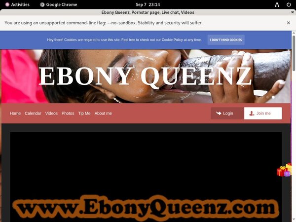Ebonyqueenz.modelcentro.com Co