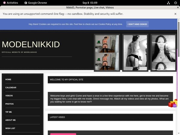 Free Accounts ModelNikki
