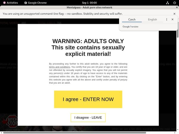 Free Accounts To Mentalpass.com