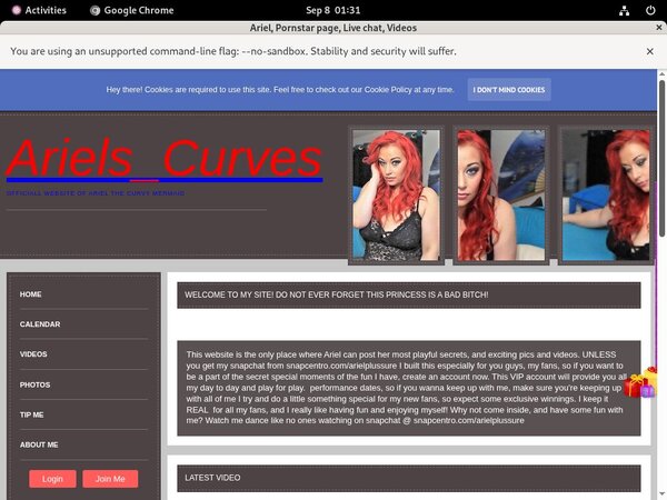 Free Arielplussure.modelcentro.com Discount Offer