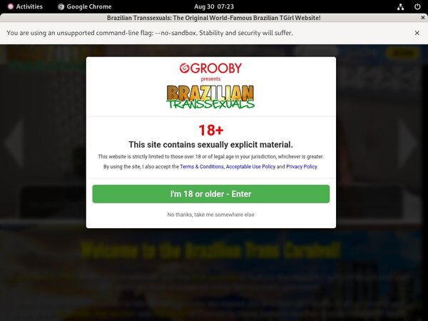 Free Brazilian-transsexuals.com Porn Accounts