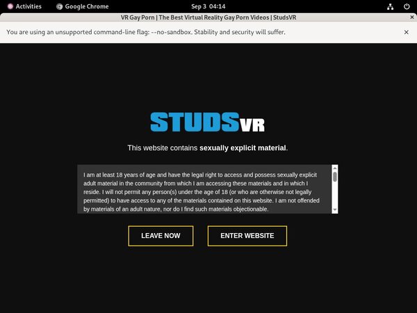 Free Studs VR Username