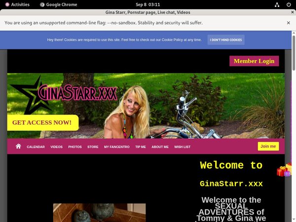 Ginastarr.xxx Porn Review