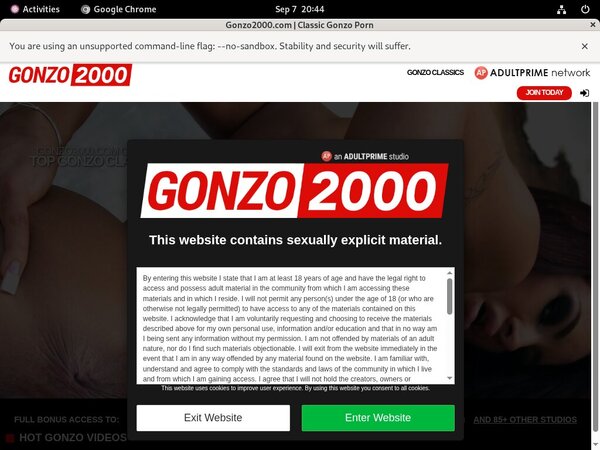 Gonzo 2000 Parola D'ordine Gratuito