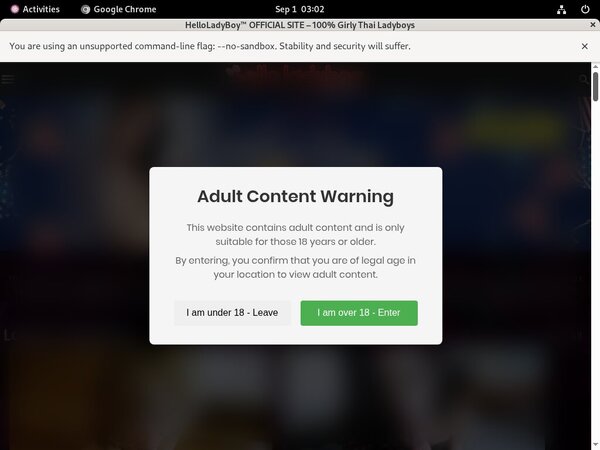 Helloladyboy.com Passwords 2019