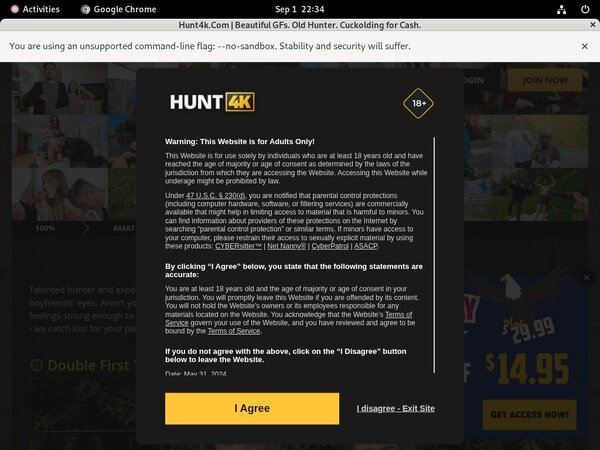 Hunt 4k Bezahlen