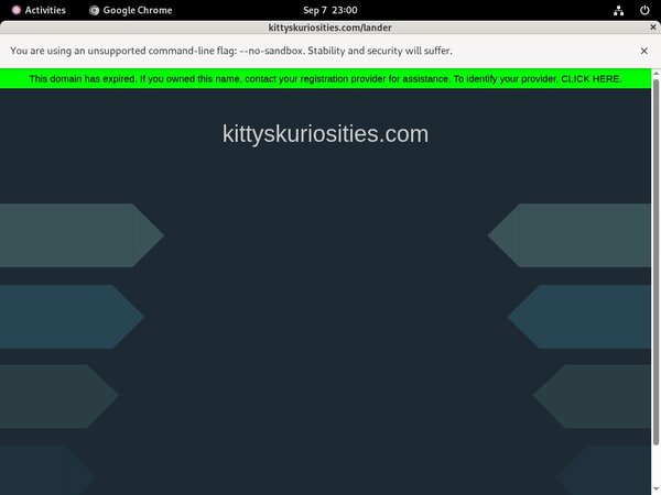 Kuriosities Kitty's Epoch