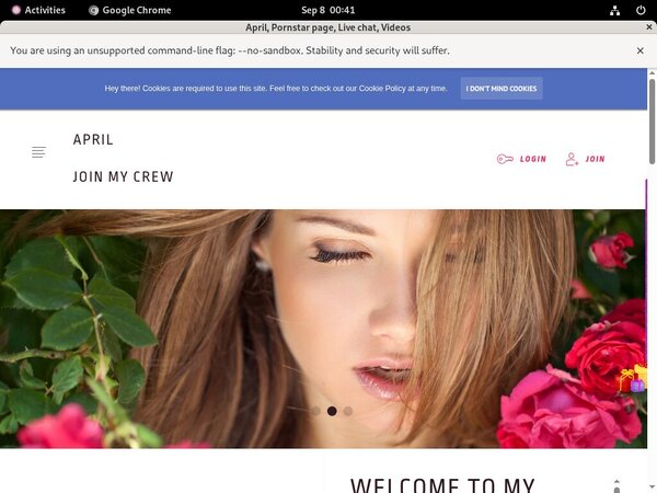 Ladyapril Account Logins