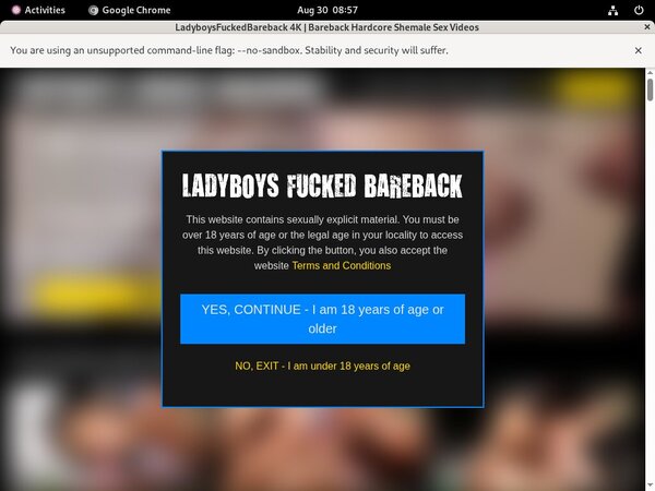 Ladyboys Fucked Bareback Vendo Discount