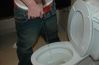 Limited Boys Pissing Promo s3