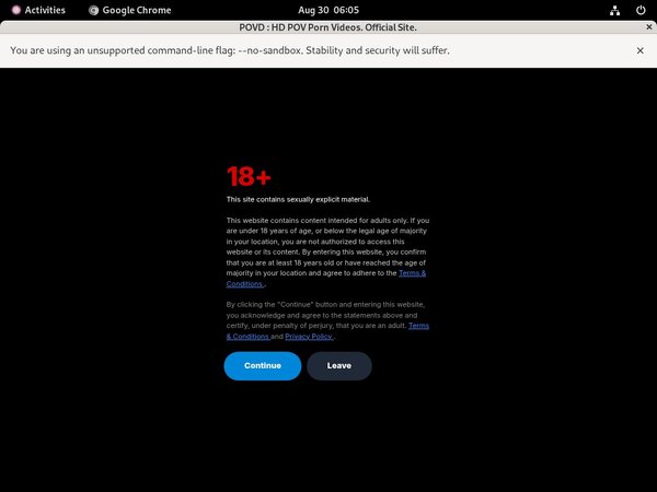 POVD Tubes POVD Tubes