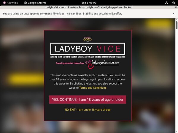 Premium Accounts Free Ladyboy Vice Premium Accounts Free Ladyboy Vice