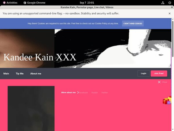 Premium Kandee Kain Passwords