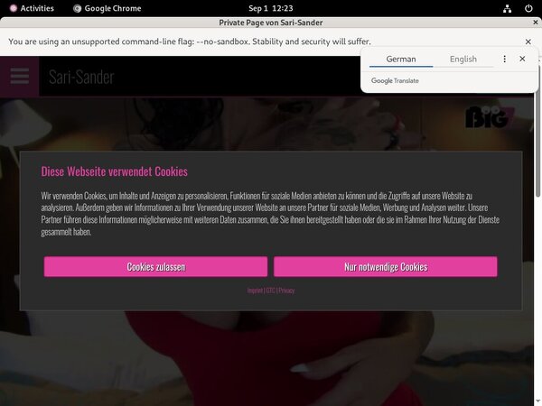 Sandersari Login Account