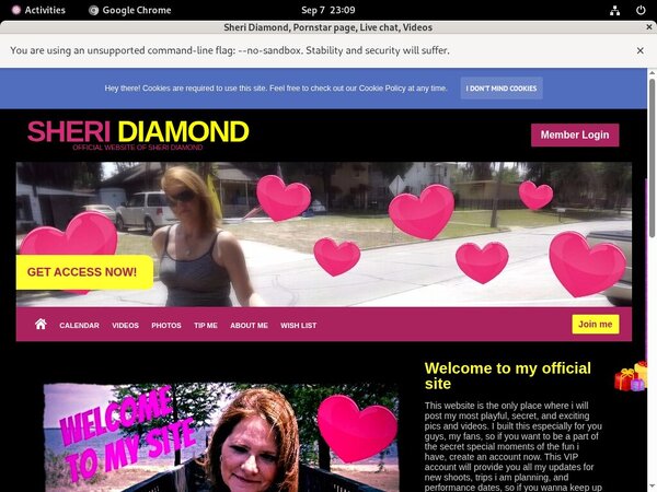 Sheri.modelcentro.com Form