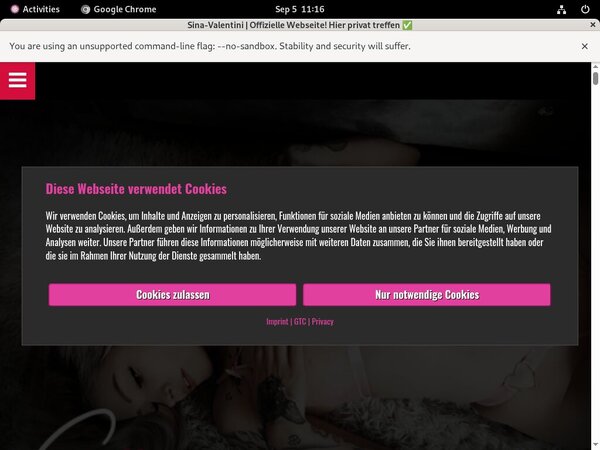 Sina Valentini Get A Password