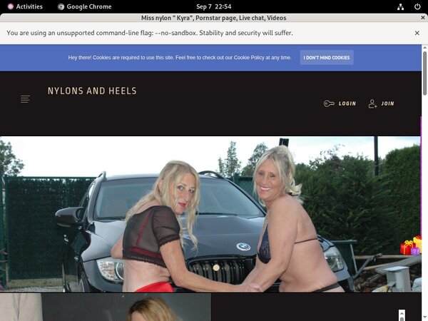 Stockingsandhighheels With ECheck