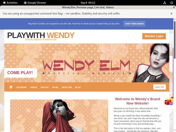 Wendy Elm Password Blog