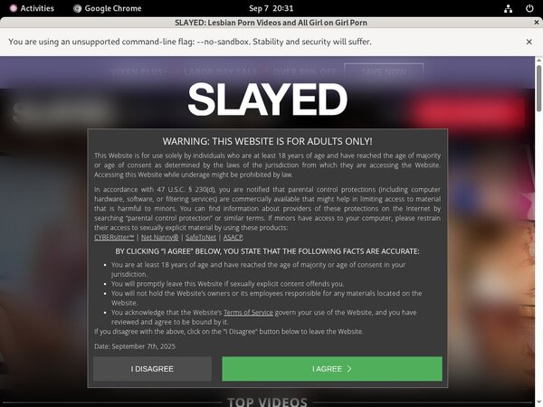 Who Is Slayed.com