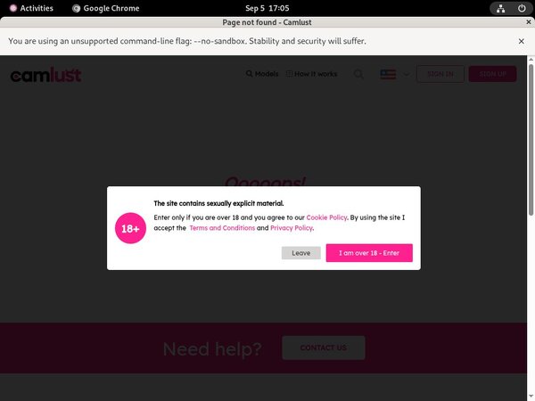 Working Camlust.com Pass