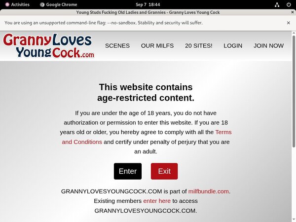 Xnxx Granny Loves Young Cock