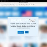 Bad Puppy Paypal Signup Bad Puppy Paypal Signup