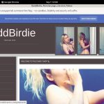 BaddBirdie Clips
