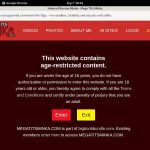 Megatitsminka.com Discount Setup