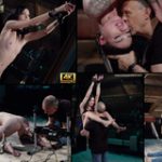 Subspace Land Bankeinzug